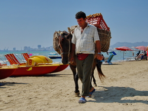 Z koniem na plażę