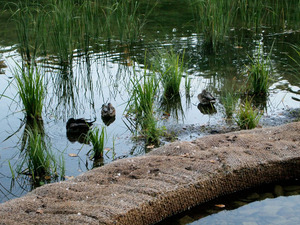 ...jesienią 2013_10  15