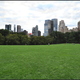 Sheep Meadow w Central Parku