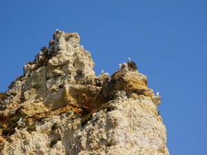 15330673 - Ponta da piedade