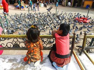 Dzieci i ptaki