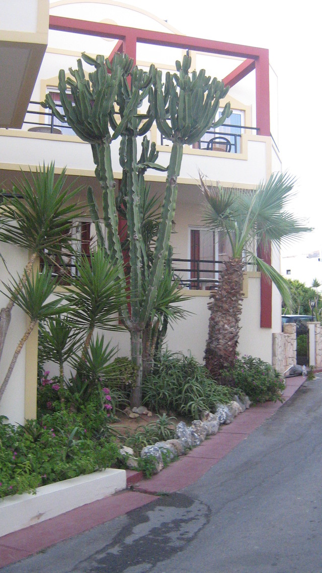 Kreta 