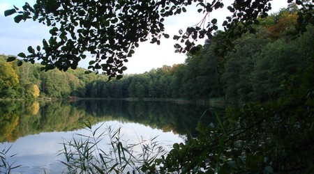 Leśne Jezioro - Bobrzynek/ msc.Grazymy.
