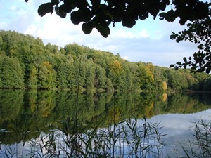 Leśne Jezioro - Bobrzynek/msc.Grazymy.