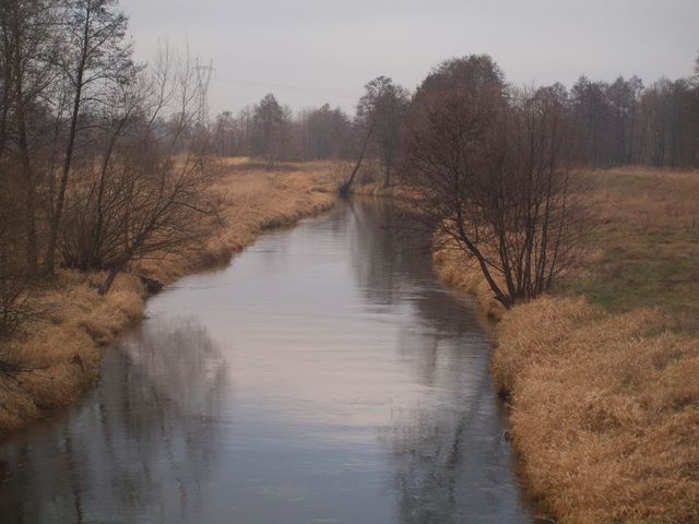 Rzeka Warta   w Słowiku