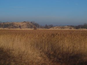 Hałdy pokopalniane  w oddali