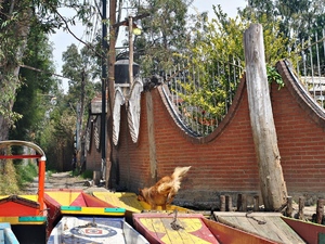 Xochimilco.