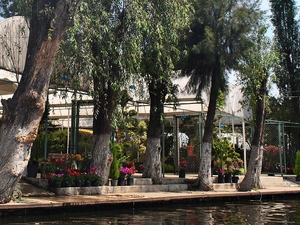 Xochimilco.