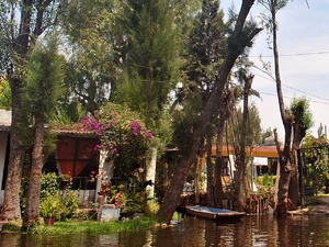 Xochimilco.
