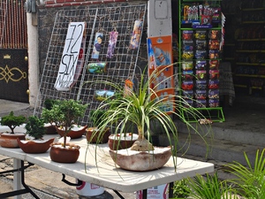 Xochimilco.