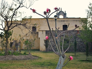 Okolica   Choluli.
