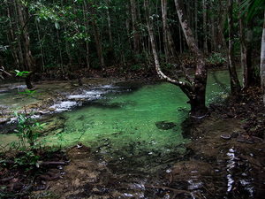 Emerald Pool