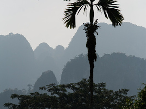 Khao Sok National Park