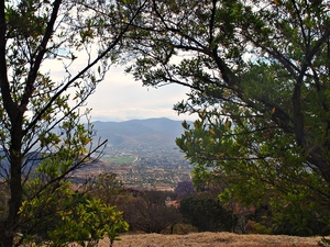 Monte  Alban. 