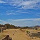 Monte  Alban. 