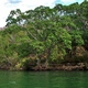 Sumidero.