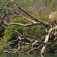 Sumidero.