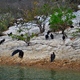 Sumidero.