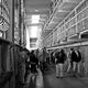 Alcatraz 010