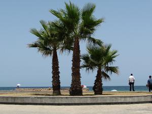 Fragment promenady - Sousse