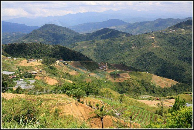 Malaysia 2495