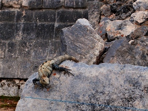 Chichen  Itza.