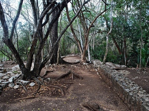 Chichen  Itza.