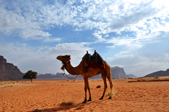 Wadi Rum, okręt pustyni.