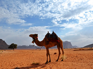 Wadi Rum, okręt pustyni.