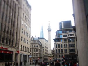 Img 4097