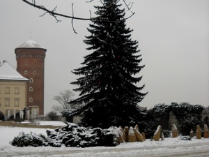 Wawel