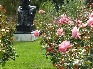 Regent's Park - Queen Mary's Gardens.