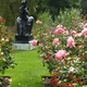 Regent's Park - Queen Mary's Gardens.