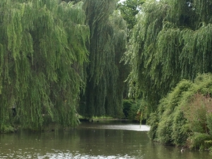 Regent's Park.