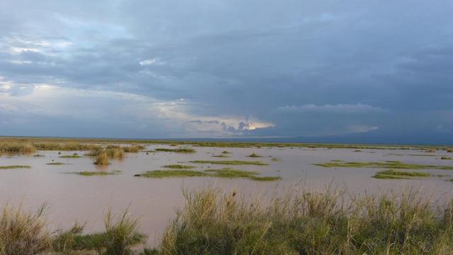 W amboseli