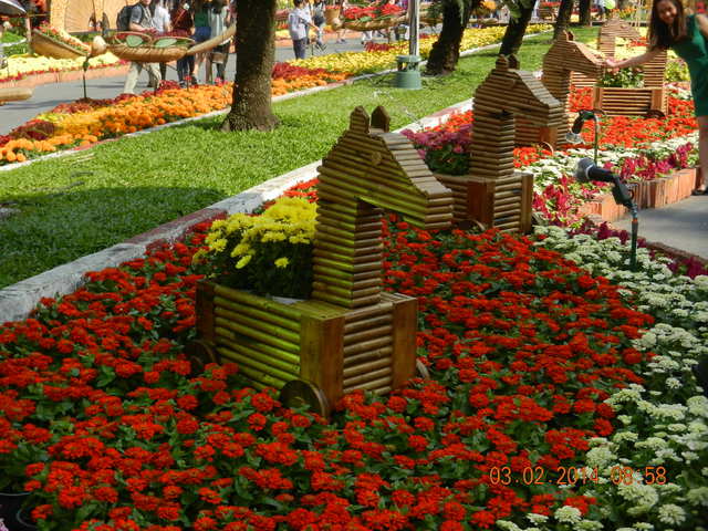 Festiwal kwiatów