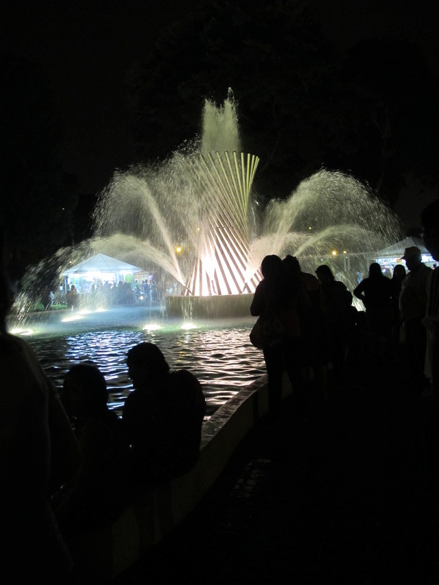 fontanna nocą