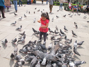 Plaza de Armas