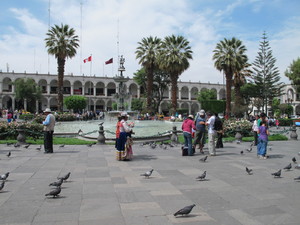 Plaza de Armas