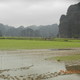 Tam Coc