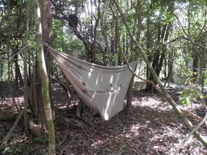 hamak w środku Amazonii do spania
