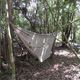 hamak w środku Amazonii do spania