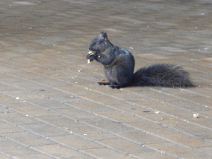 Mmmmmmmmmmmm jak mi dobrze,Cavell Ave