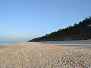 Plaża w Stegnie