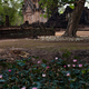 Sukhothai