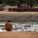 Sukhothai