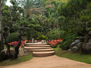Królewski ogród