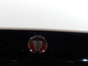 Jaguar
