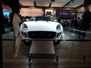 Jaguar