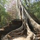 Ta Prohm